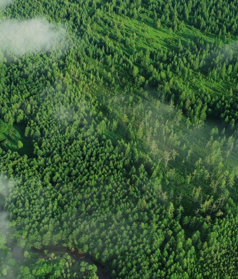 ����ͻ��-��������ݻ���_MG������Ϸ